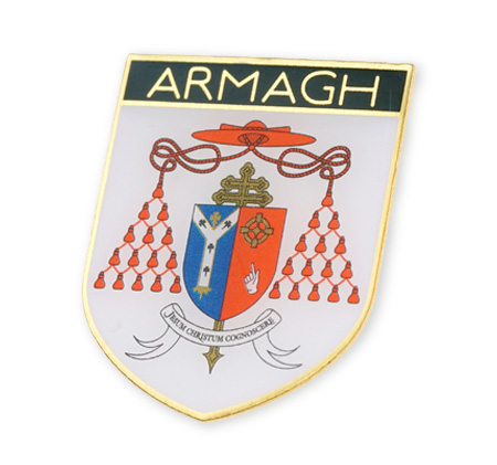 Custom enamle badge with Irish organisation coat of arms